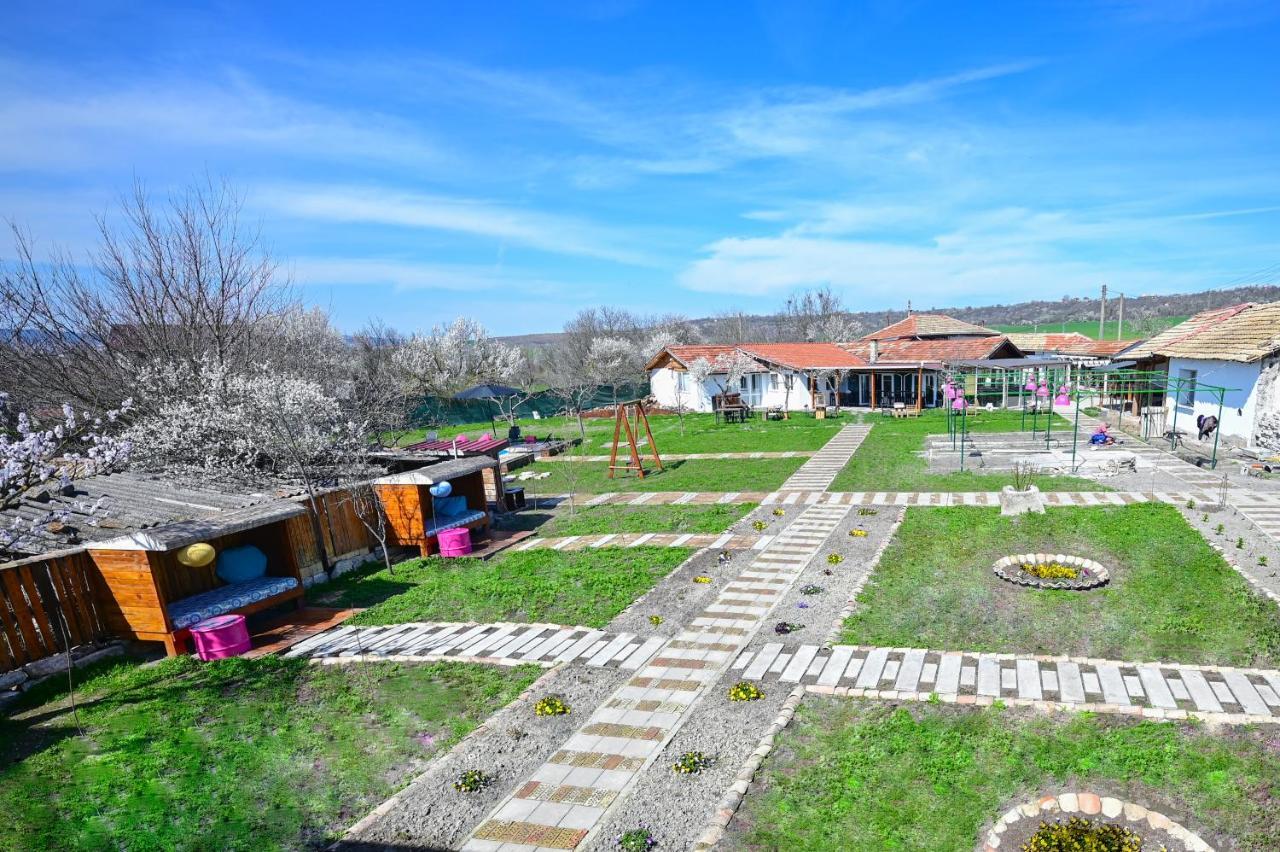 Guest House Bulgarka Dibich Exterior foto