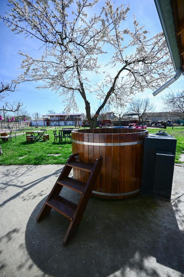 Guest House Bulgarka Dibich Exterior foto